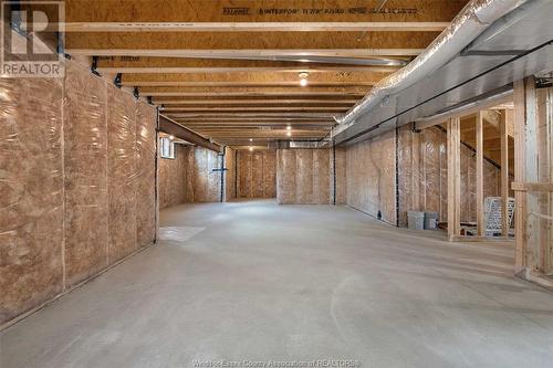 2576 Mayfair, Lasalle, ON - Indoor Photo Showing Basement