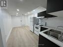 Bsmt - 42 Leila Jackson Terrace, Toronto, ON  - Indoor Photo Showing Kitchen With Double Sink 