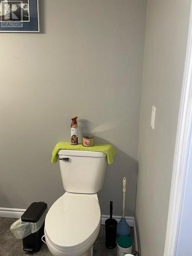 59 Maryland Drive, Stephenville, NL - Indoor Photo Showing Bathroom