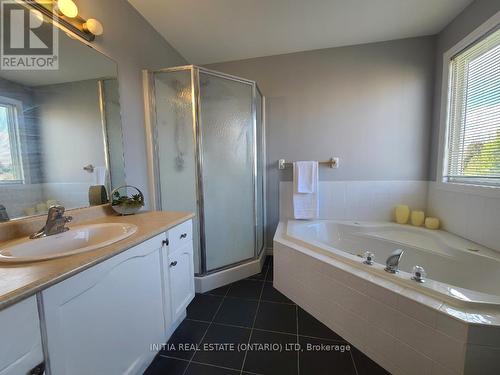 1704 Mickleborough Drive, London, ON - Indoor Photo Showing Bathroom