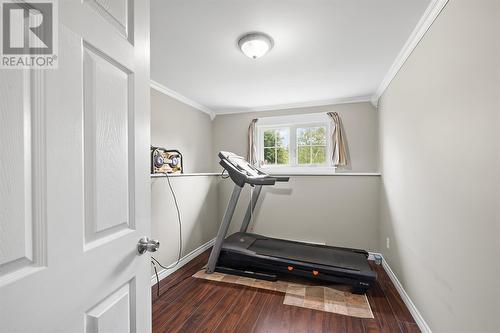 423 St. Thomas Line, Paradise, NL - Indoor Photo Showing Gym Room