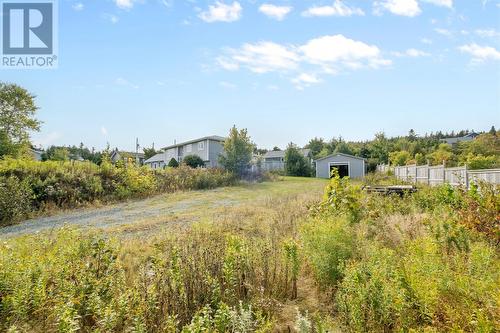 423 St. Thomas Line, Paradise, NL - Outdoor