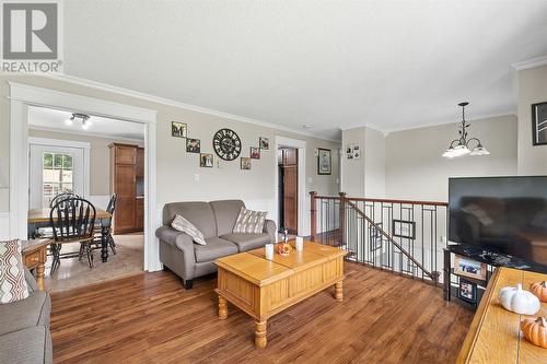 423 St. Thomas Line, Paradise, NL - Indoor Photo Showing Living Room