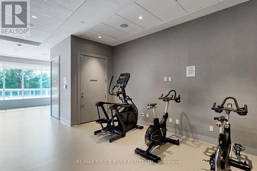 1002 - 10 Wilby Crescent, Toronto, ON - Indoor Photo Showing Gym Room