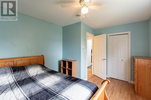 38 Erley Street, St. John'S, NL - Indoor Photo Showing Bedroom