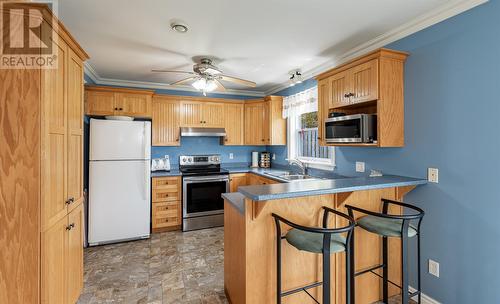 38 Erley Street, St. John'S, NL - Indoor Photo Showing Kitchen With Double Sink