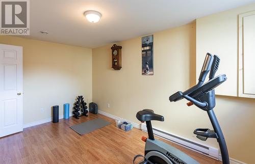 38 Erley Street, St. John'S, NL - Indoor Photo Showing Gym Room