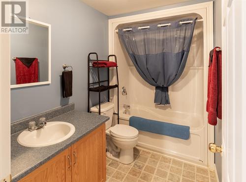 38 Erley Street, St. John'S, NL - Indoor Photo Showing Bathroom