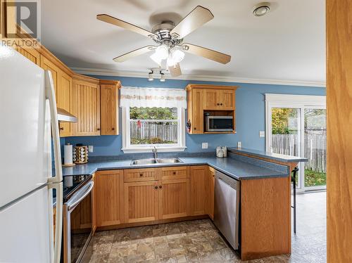 38 Erley Street, St. John'S, NL - Indoor Photo Showing Kitchen With Double Sink