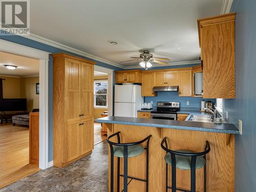 38 Erley Street, St. John'S, NL - Indoor Photo Showing Kitchen With Double Sink