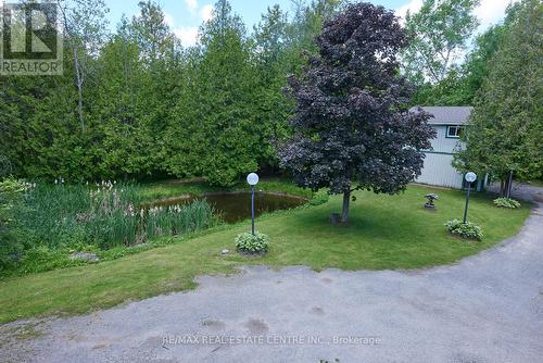 7 Mccutcheon Road, Mulmur, ON - Outdoor