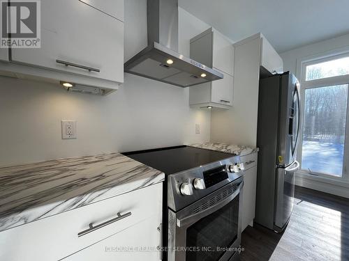 51 - 5620 Rockdale Road, Ottawa, ON - Indoor Photo Showing Kitchen