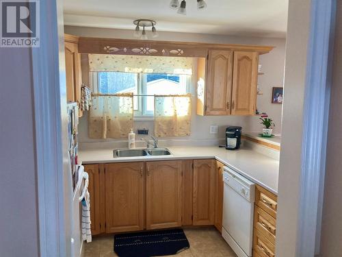 25 Green Street, Happy Valley - Goose Bay, NL - Indoor Photo Showing Kitchen With Double Sink