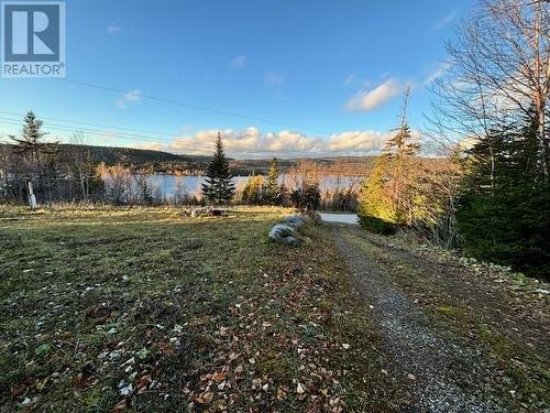 85 The New Road, Bonne Bay Pond, NL - Outdoor With View