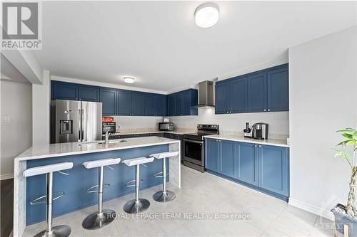 612 Rye Grass Way, Ottawa, ON - Indoor Photo Showing Kitchen With Upgraded Kitchen