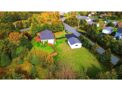 10 Whiterock Road, Pouch Cove, NL 