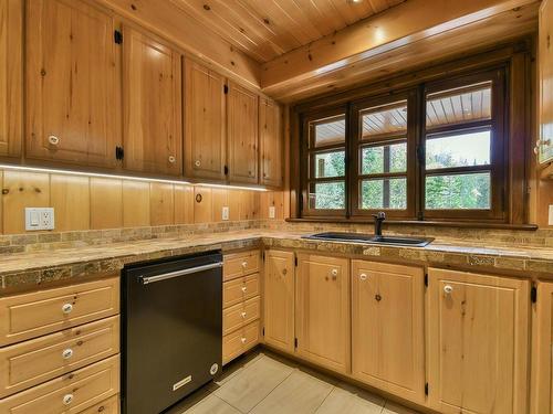 Kitchen - 131 Ch. Du Mont-Corbeau S., Saint-Adolphe-D'Howard, QC - Indoor Photo Showing Kitchen