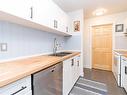 302-1241 Fairfield Rd, Victoria, BC  - Indoor Photo Showing Kitchen With Double Sink 