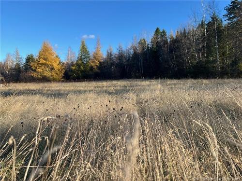 Vacant Lot Route 3, Harvey, NB 