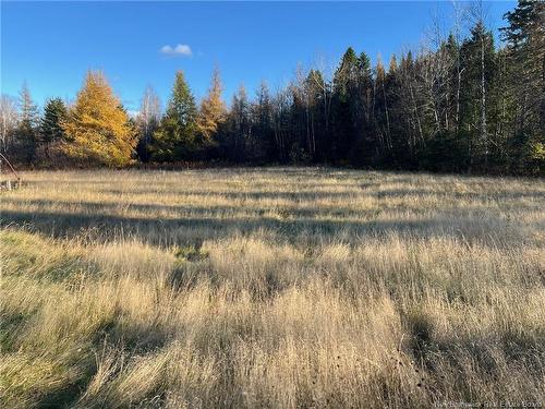 Vacant Lot Route 3, Harvey, NB 