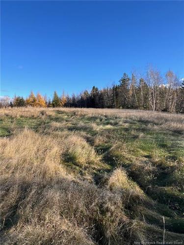 Vacant Lot Route 3, Harvey, NB 