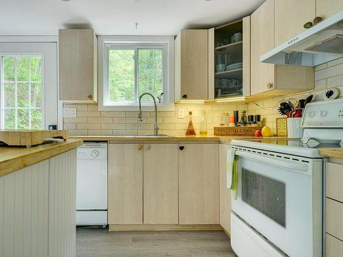 Kitchen - 28 Ch. Des Bois-Verts, Saint-Adolphe-D'Howard, QC - Indoor Photo Showing Kitchen