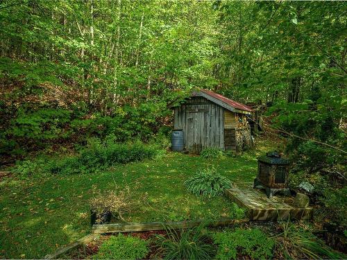 Shed - 28 Ch. Des Bois-Verts, Saint-Adolphe-D'Howard, QC - Outdoor