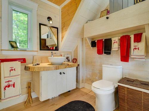 Powder room - 28 Ch. Des Bois-Verts, Saint-Adolphe-D'Howard, QC - Indoor Photo Showing Bathroom