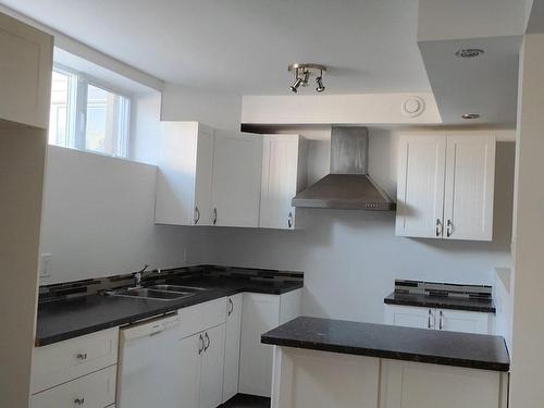 Kitchen - 102-490 17E Rue, Shawinigan, QC - Indoor Photo Showing Kitchen With Double Sink