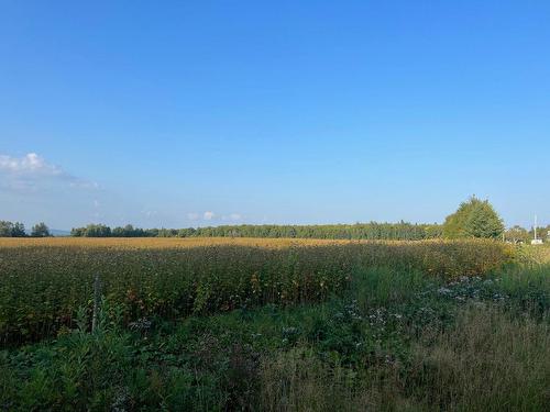 Terre/Terrain - Rg Du Pin-Rouge S., L'Ascension-De-Patapédia, QC 