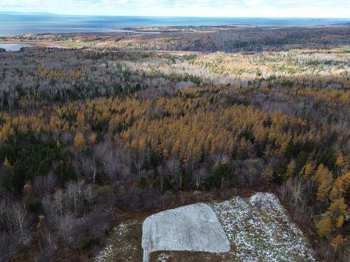 Acreage Mill Brook Road, Judique North, NS 