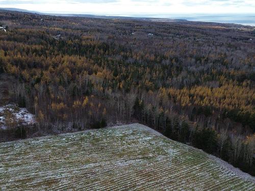 Acreage Mill Brook Road, Judique North, NS 