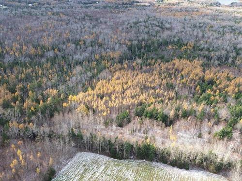 Acreage Mill Brook Road, Judique North, NS 