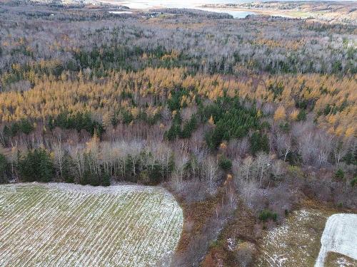 Acreage Mill Brook Road, Judique North, NS 