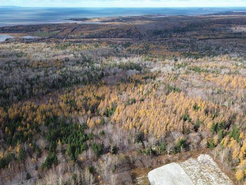 Acreage Mill Brook Road, Judique North, NS 