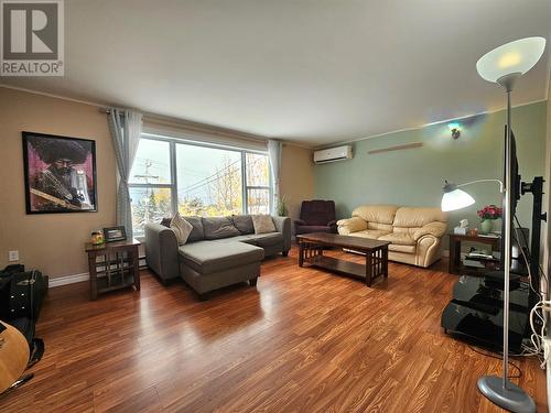 16 Windsor Street, Corner Brook, NL - Indoor Photo Showing Living Room