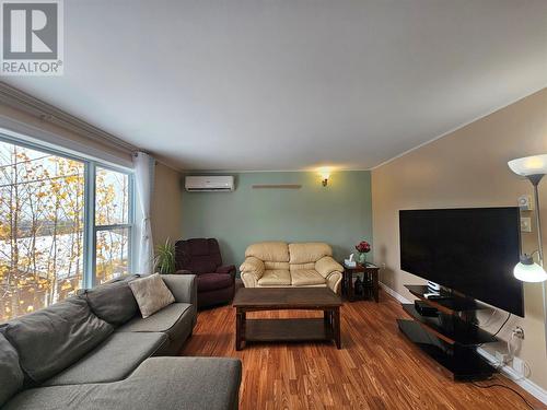 16 Windsor Street, Corner Brook, NL - Indoor Photo Showing Living Room