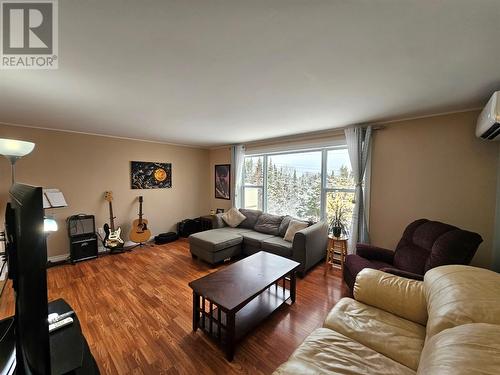 16 Windsor Street, Corner Brook, NL - Indoor Photo Showing Living Room