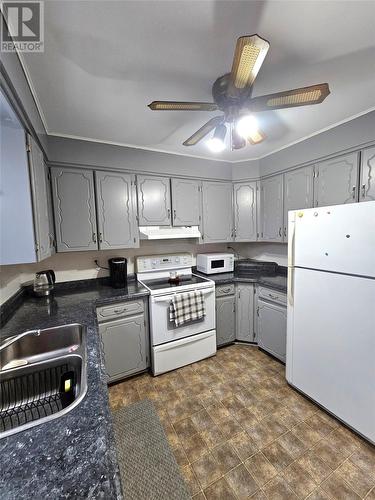 16 Windsor Street, Corner Brook, NL - Indoor Photo Showing Kitchen With Double Sink