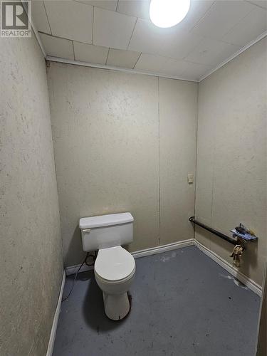 16 Windsor Street, Corner Brook, NL - Indoor Photo Showing Bathroom