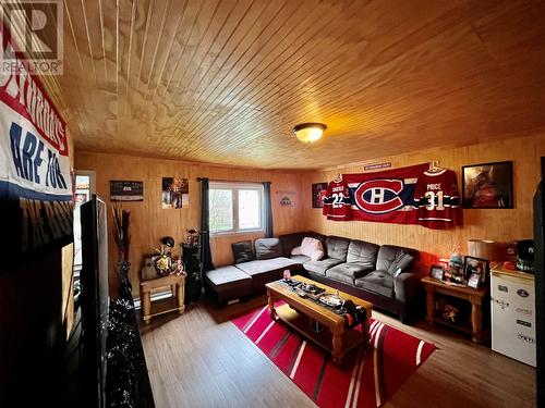 14 Brookside Street, Fortune, NL - Indoor Photo Showing Living Room