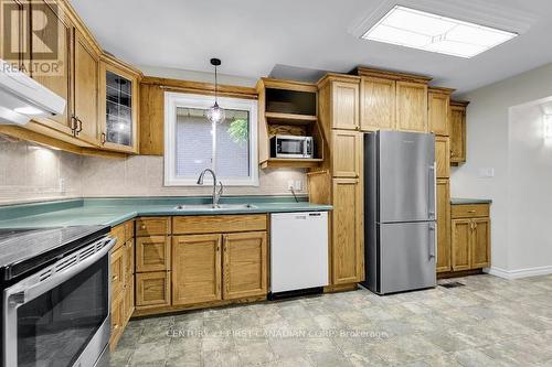 458 Three Valleys Crescent, London, ON - Indoor Photo Showing Kitchen With Double Sink