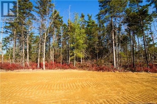 71 Petersfield Street, Lower Coverdale, NB - Outdoor With View