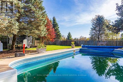 1000 8Th Concession Road W, Hamilton, ON - Outdoor With In Ground Pool With Backyard