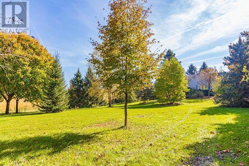 1000 8Th Concession Road W, Hamilton, ON - Outdoor With View