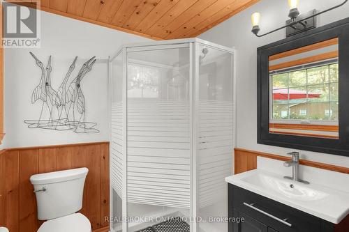 1093 Laidlaw Avenue, Gravenhurst, ON - Indoor Photo Showing Bathroom