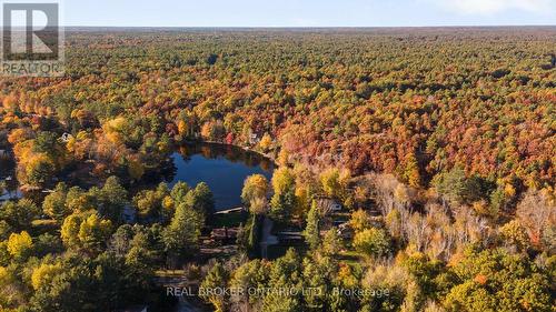 1093 Laidlaw Avenue, Gravenhurst, ON - Outdoor With View