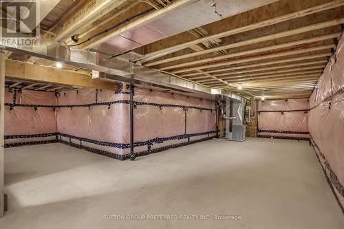 2 Bouw Place, Dutton/Dunwich (Dutton), ON - Indoor Photo Showing Basement