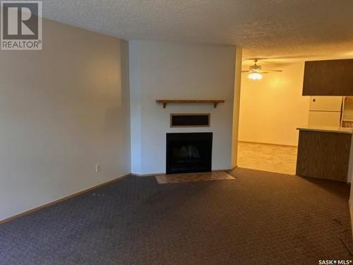 398 Cedar Meadow Drive, Regina, SK - Indoor Photo Showing Living Room With Fireplace