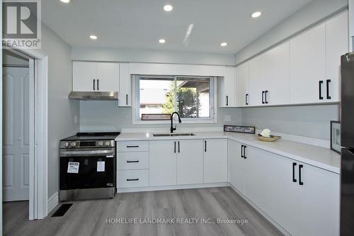 45 Lorne Avenue, Grimsby, ON - Indoor Photo Showing Kitchen With Double Sink